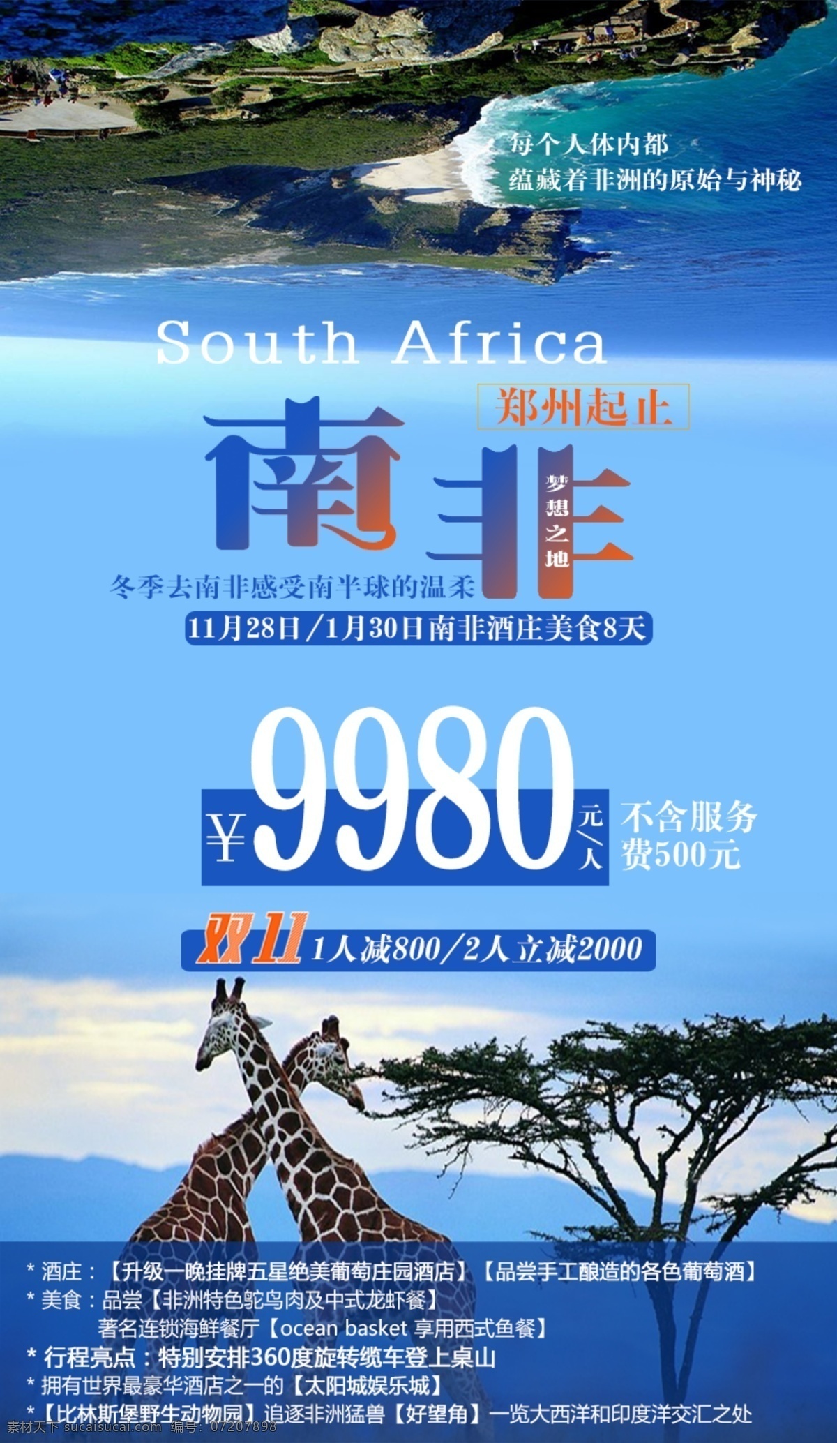 创意 风景 长颈鹿 南非 旅游 海报 开普敦 桌山保护区 美食 酒庄 比林 斯堡 野生 动物园