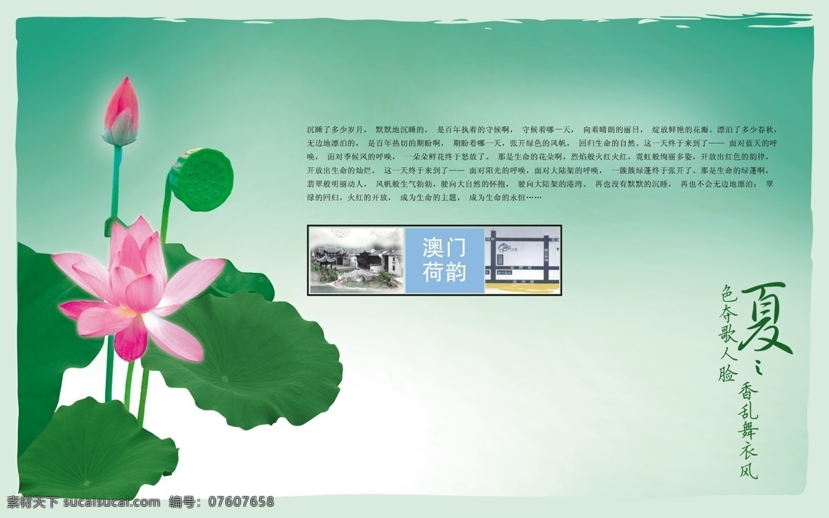 創(chuàng)意 唯美 淡綠 荷花 品質(zhì) 生活 海報(bào)