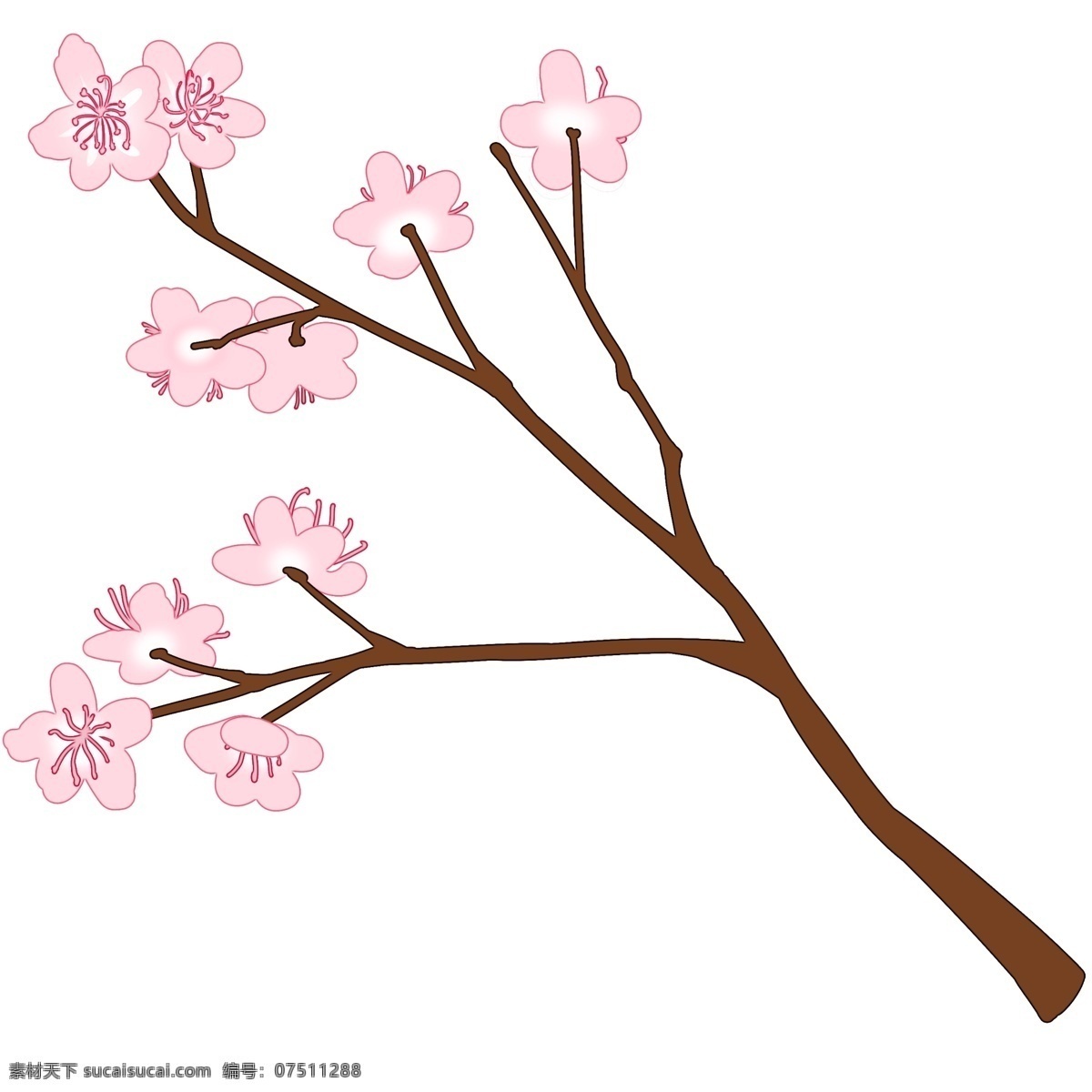 浪漫 粉色 樱花 插画 浪漫樱花 樱花插画 卡通樱花插画 粉色的樱花 植物 花朵 植物插画 精美的樱花