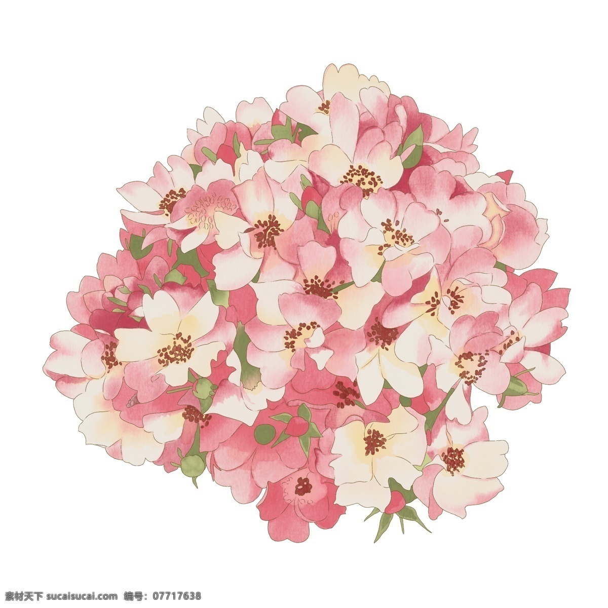 日本樱花花卉 日本樱花 鲜花 花朵 花草 植物 花卉 浪漫 情人节 芳香 盛开 花瓣 水墨花 中国风 真实 拍摄 设计元素 ps海报素材 卡通花朵素材