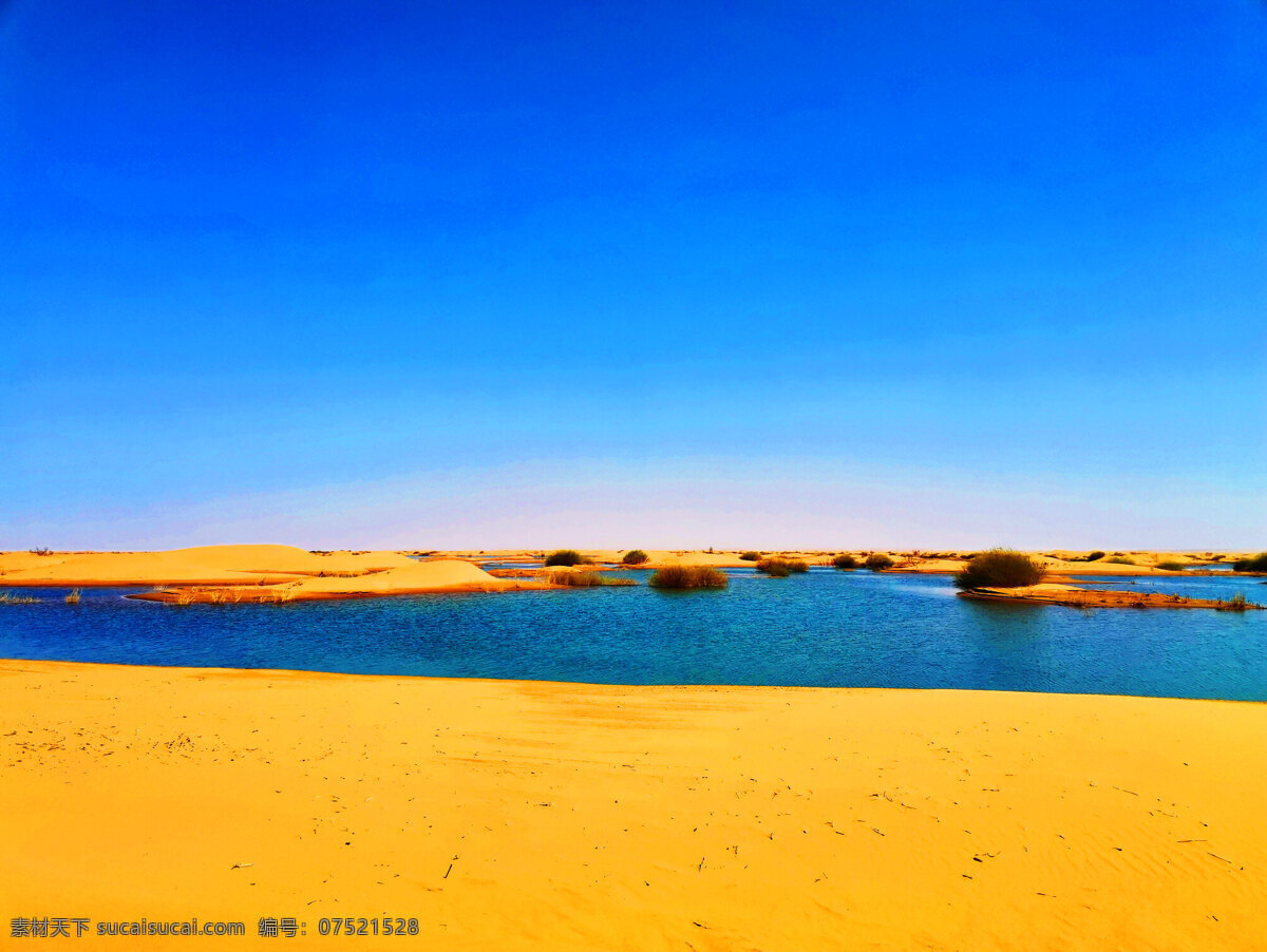 自然风景图片 自然风景 沙漠 地爬草 蓝天 日落 水 金色水面 沙漠越野