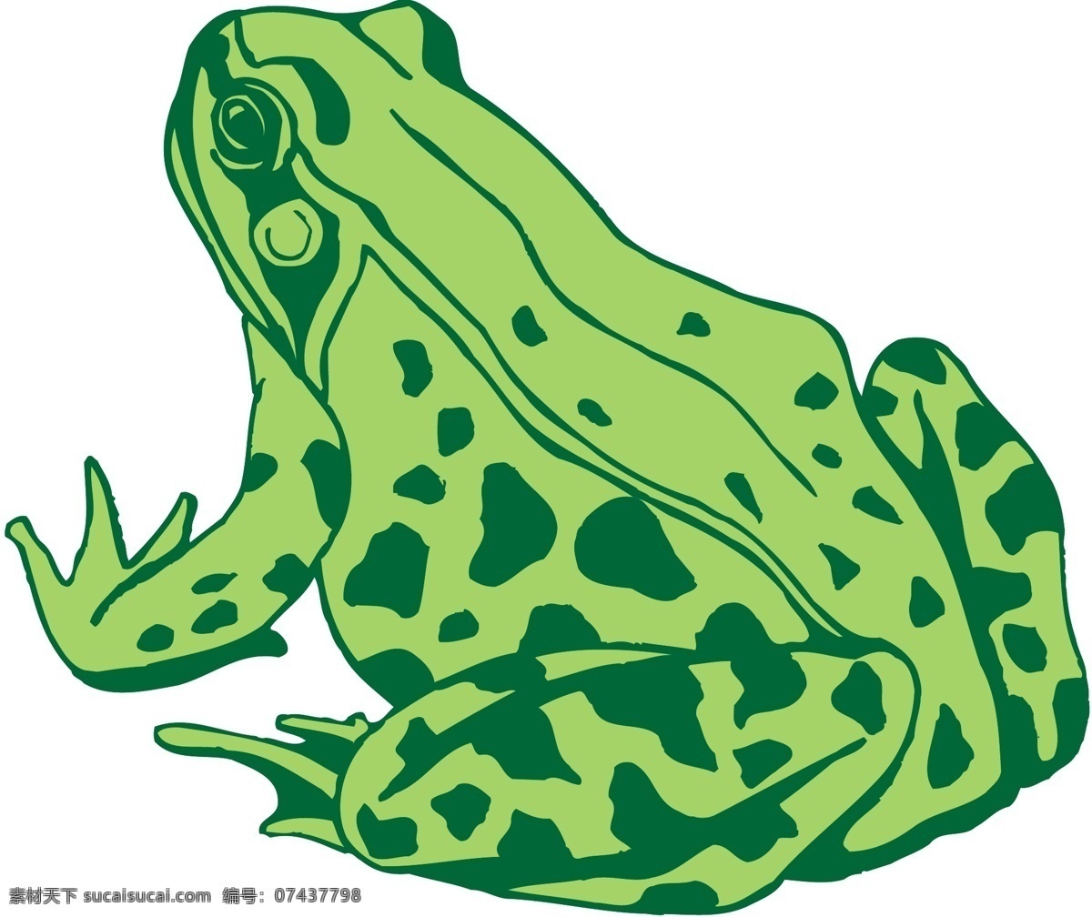 蛙类 两栖动物 矢量素材 格式 eps格式 设计素材 矢量动物 矢量图库 白色