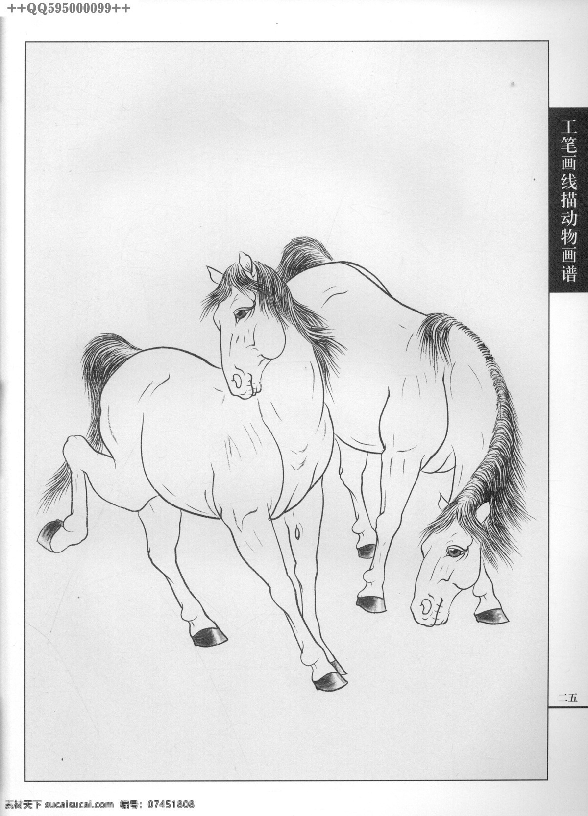 工筆畫馬10 線描 駿馬 馬 工筆畫 白描 黑白稿 手繪 線描馬 線描圖 墨線圖 國畫 畫譜 繪畫 百鳥 駿馬篇 繪畫書法 文化藝術(shù)