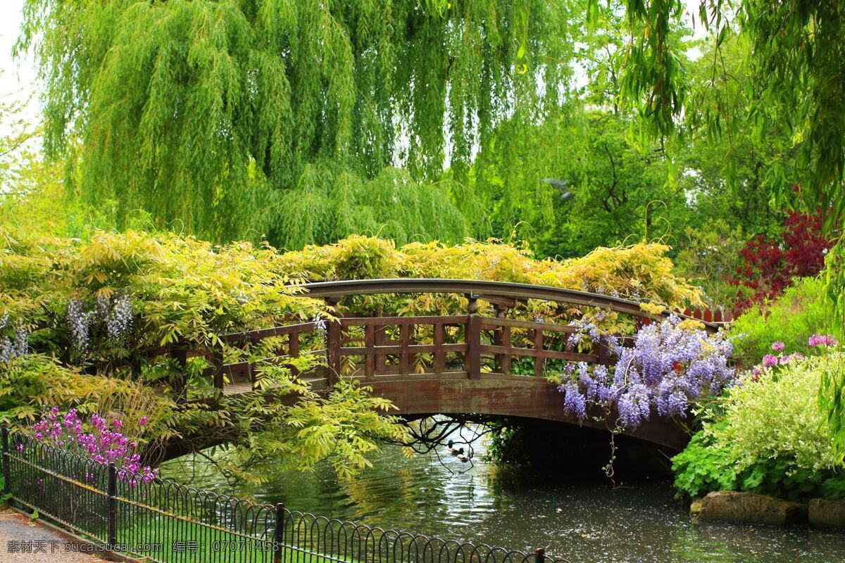园林一角 园林 一角 小桥 流水 植物 鲜花 绿树 自然风景 自然景观