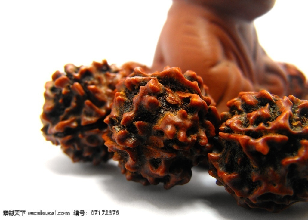 五 瓣 金剛 菩提 佛珠 手鏈 佛教 佛 手串 金剛菩提 宗教 文化 攝影佛珠 文化藝術(shù) 宗教信仰