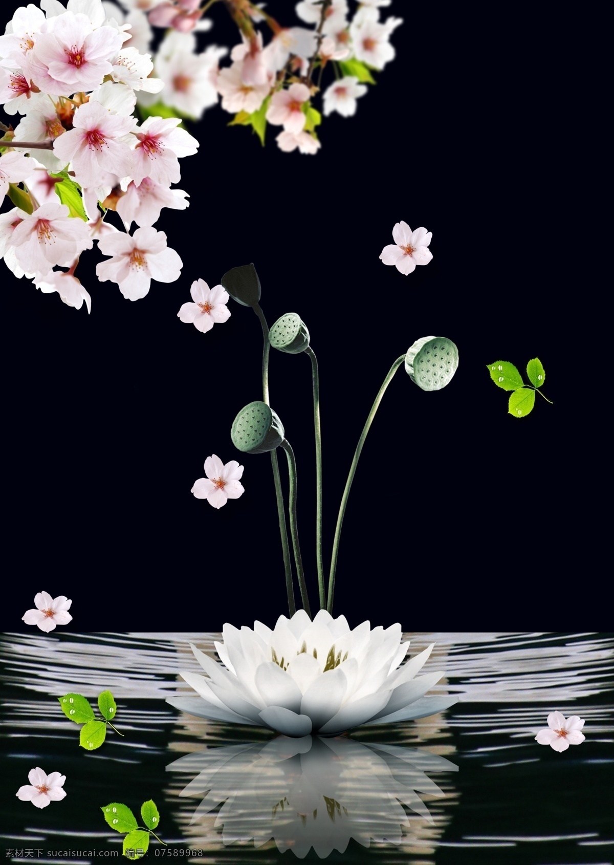 底紋 時(shí)尚 插圖 山水 湖水 桃花 綠葉 花瓣 荷花 倒影 蓮子 分層
