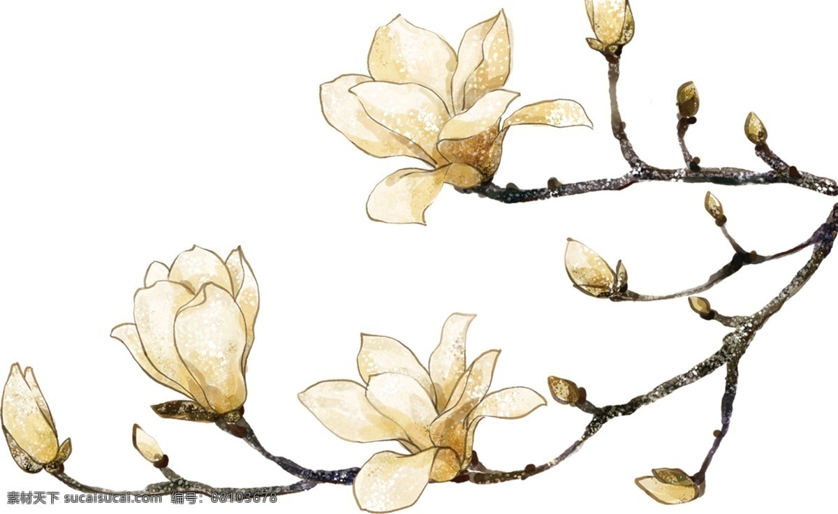 免 扣 傳統(tǒng) 玉蘭 免扣 透明 中式花鳥素材 新中式素材 花鳥 植物 中式花鳥 玉蘭花 樹木 中式植物 花鳥素材 中式樹木素材 花鳥畫 海報(bào)背景 花鳥背景 中式海報(bào) 花鳥畫稿 新中式畫稿 新中式 中式海報(bào)素材 分層素材 背景 分層 背景素材