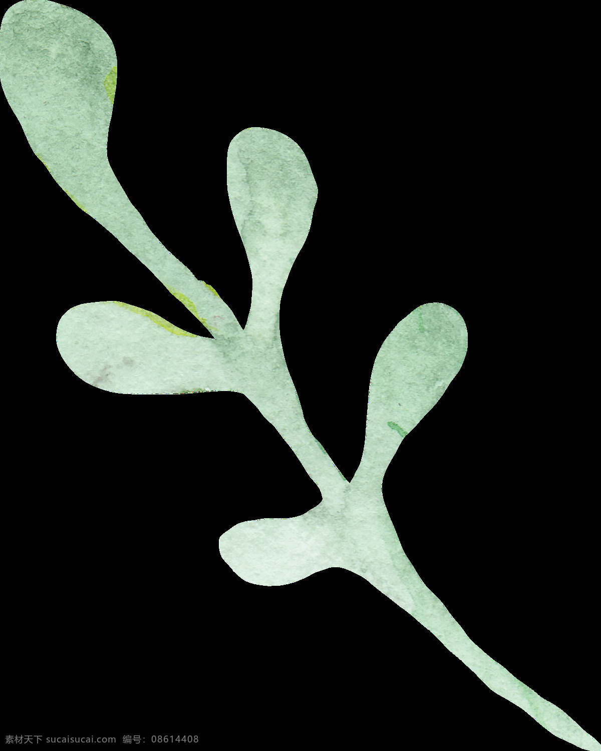 水滴 绿叶 卡通 透明 植物 树叶 透明素材 免扣素材 装饰图案