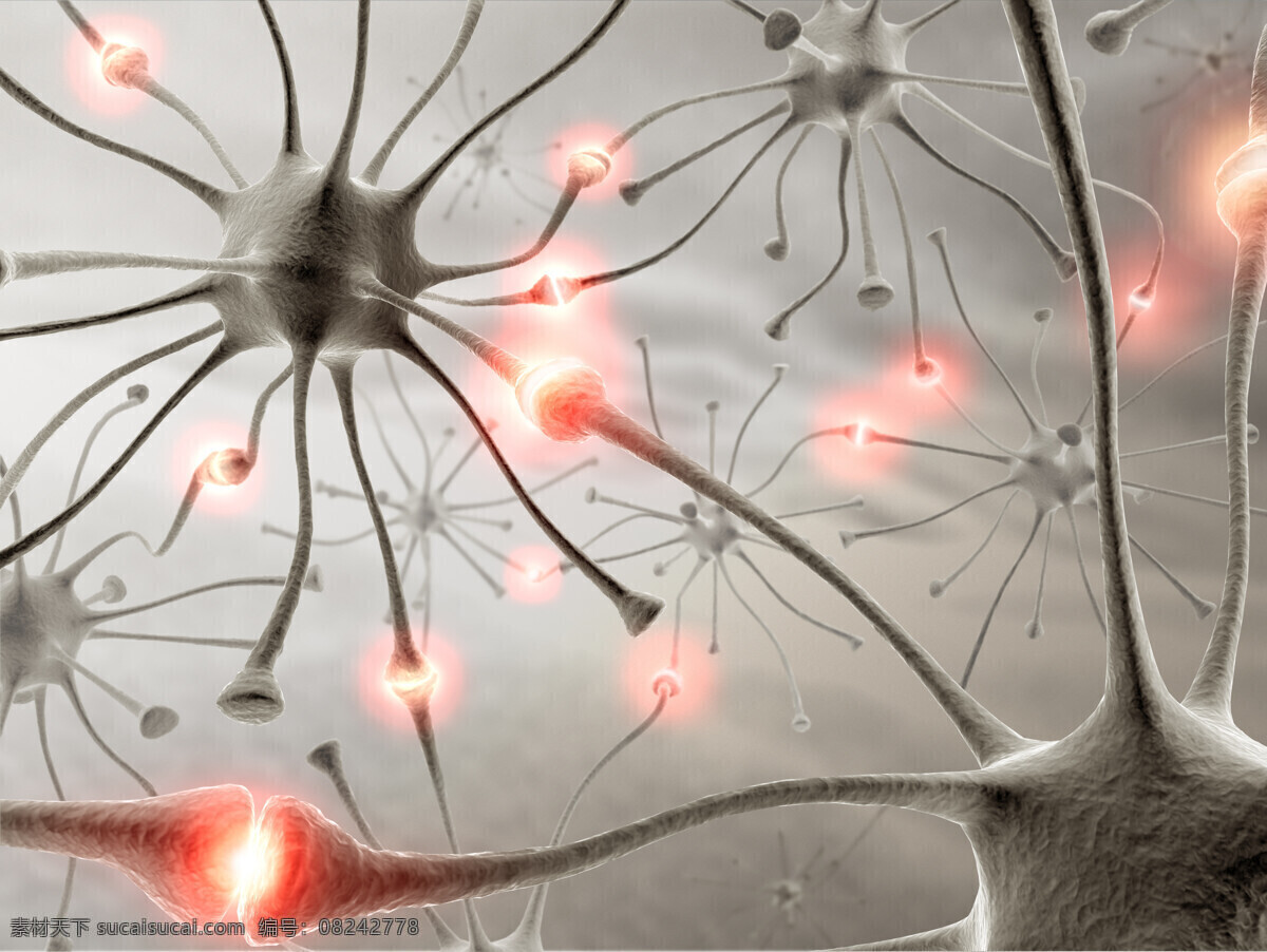 人体 透视图 结构 人体结构 器官 神经末梢 神经结构 医疗护理 现代科技