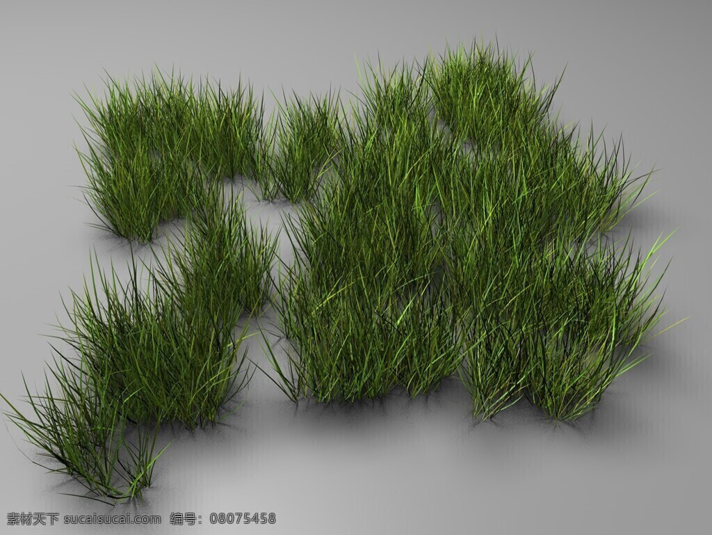 c4d grass 草丛 植物模型 花卉草 3d模型素材 动植物模型