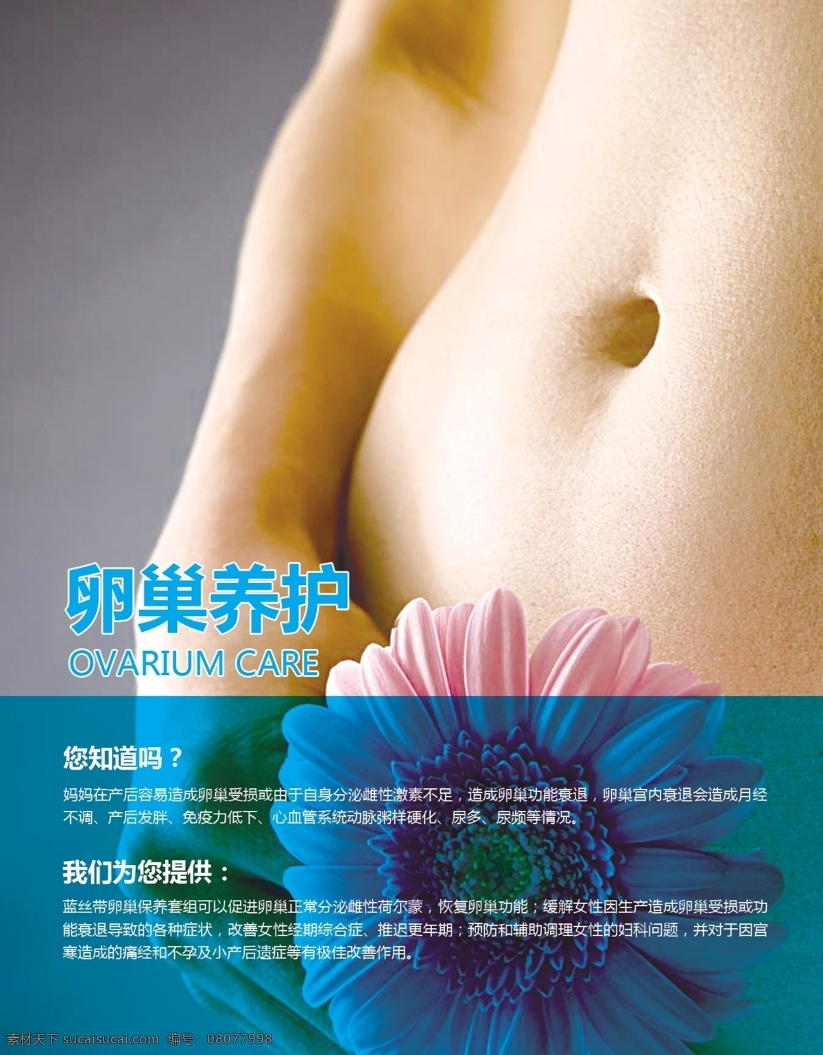 卵巢 知識(shí) 宣傳海報(bào) 知識(shí)宣傳 海報(bào) 分層圖層 卵巢圖片 分層