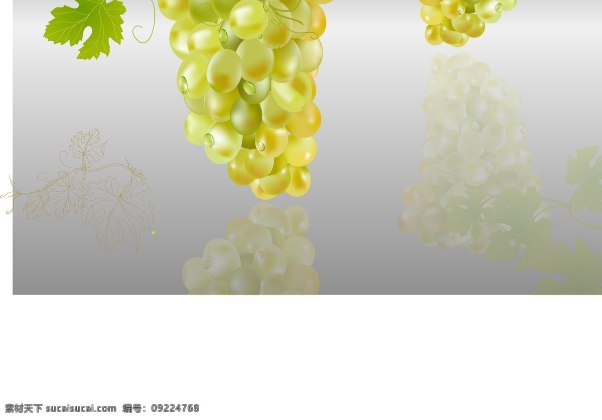 綠葉子 生物世界 矢量素材 水果 水果素材 植物 仿真 水晶 葡萄 矢量 模板下載 仿真水晶葡萄 水晶葡萄 綠色葡萄 矢量圖 日常生活
