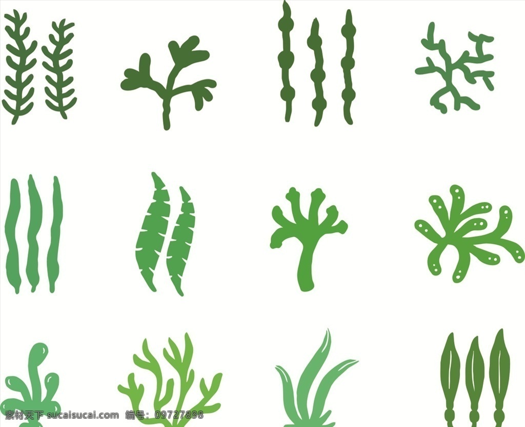 矢量 简约 绿色 海洋 珊瑚 藻 珊瑚藻 矢量图 矢量图系列