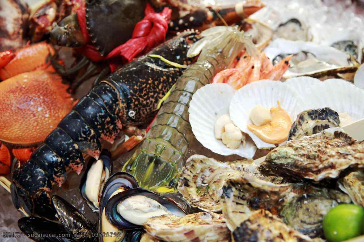 海鲜大全图片 海鲜大全 虾 蟹 贝壳 螺 龙虾 新鲜食物原料 海鲜 美味 餐饮美食 食物原料 摄影图库 海洋生物 生物世界 美食图片 传统美食