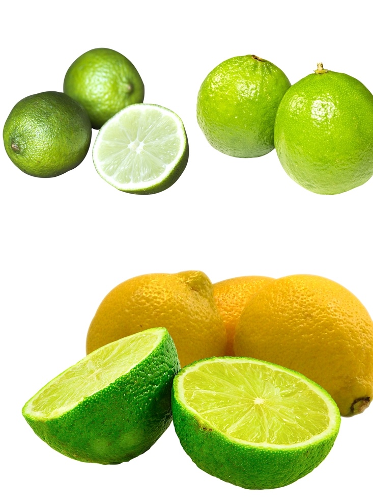 柠檬素材 水果素材图片 水果素材 尤力克 里斯本 青柠檬