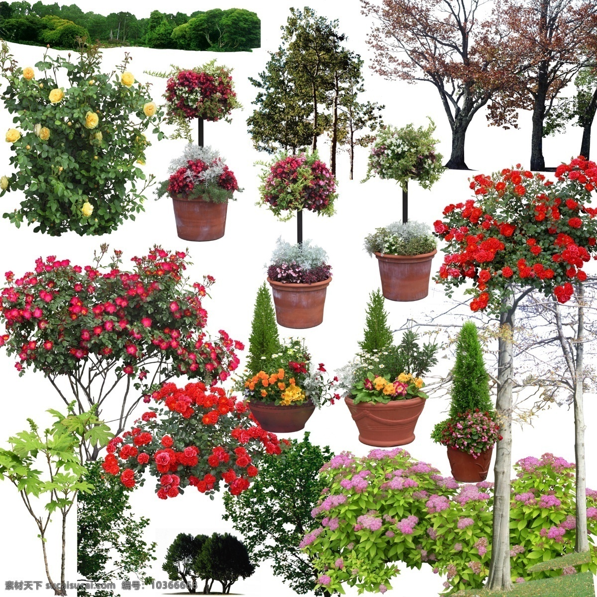 后期 花花草草 灌木 素材圖片 盆栽 摳好的灌木 花草 草坪 后期設(shè)計素材 小 分層 源文件