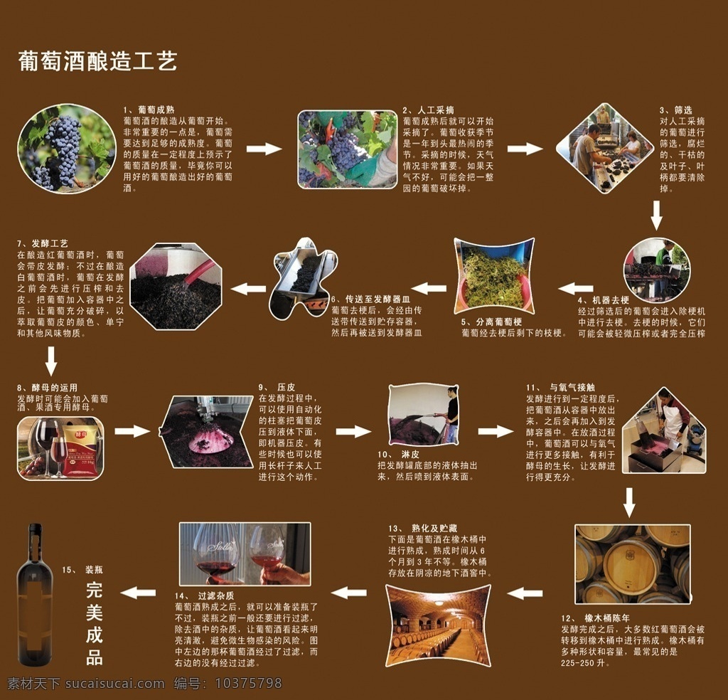 葡萄酒 釀造 工藝 流程圖 紅酒釀造工藝 釀造流程圖 葡萄酒釀造 干紅釀造流程 折頁(yè) 宣傳海報(bào) 名片卡片