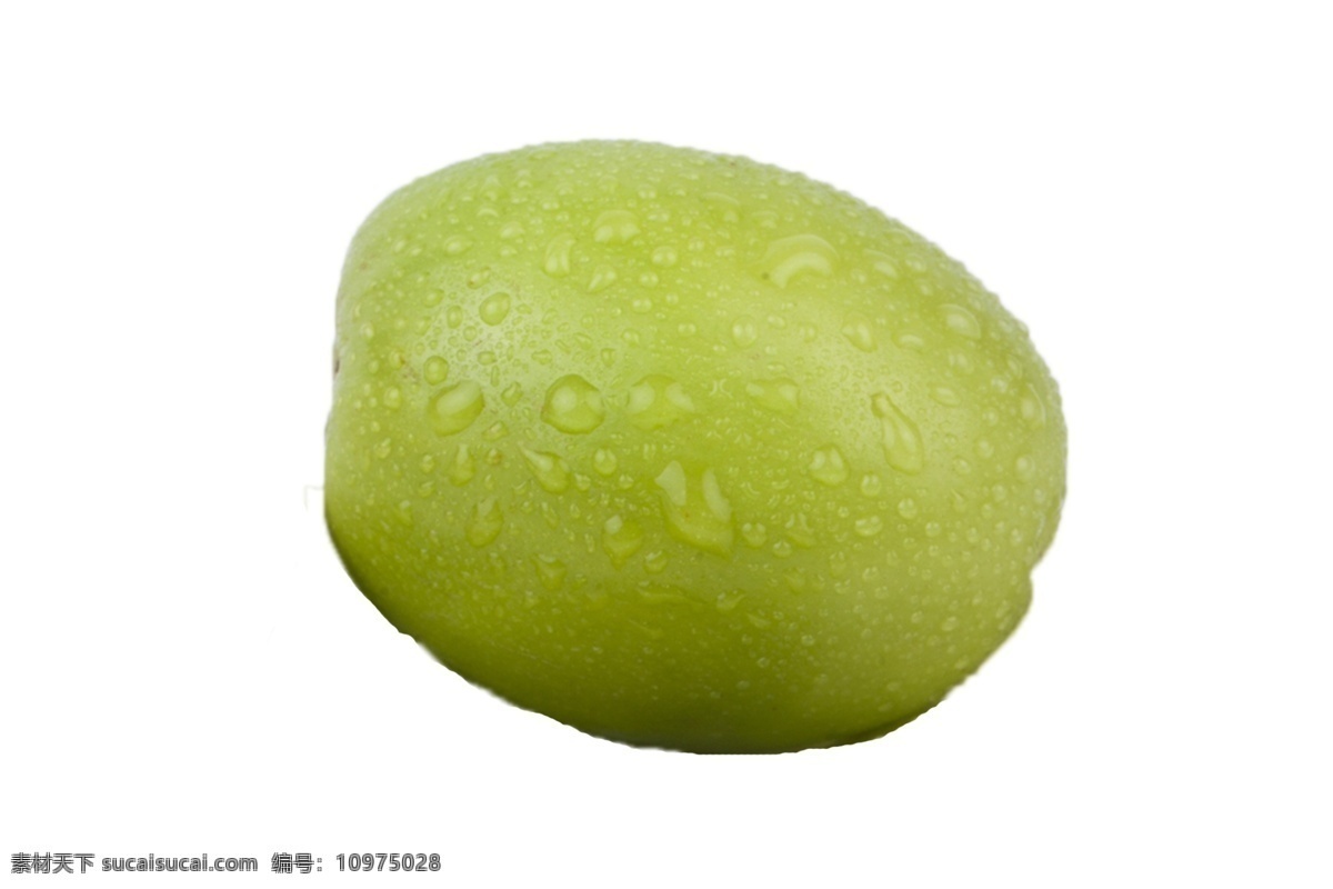 一個 新鮮 美味 大 青棗 甜脆 可口 營養(yǎng) 健康 植物 綠色食品 肉厚 汁多 香甜 特產(chǎn) 食品 果實(shí)