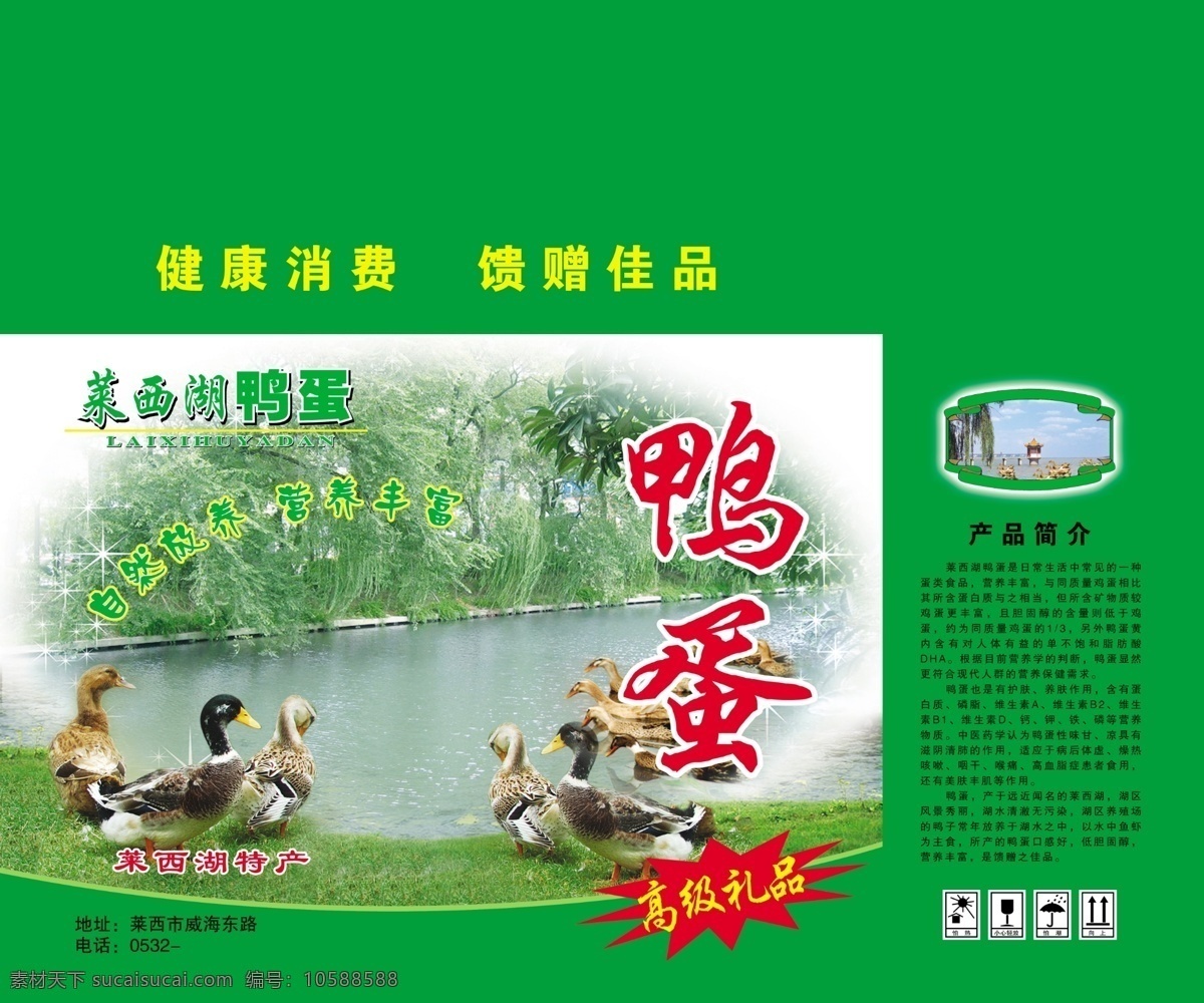 鴨蛋箱 鴨子 柳樹 水 綠地 鴨蛋包裝 包裝箱 分層 源文件