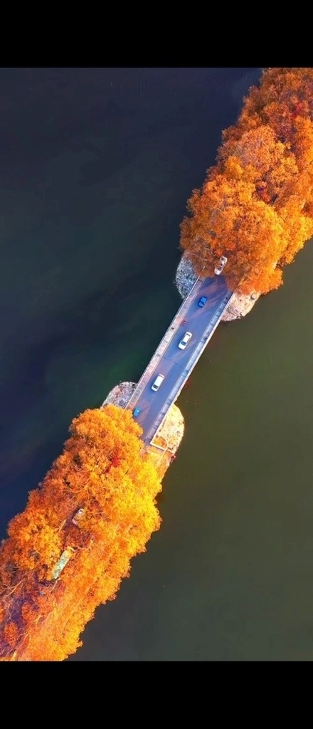 長江大橋 橋梁 橋 俯瞰 多媒體 實(shí)拍視頻 城市風(fēng)光 mp4