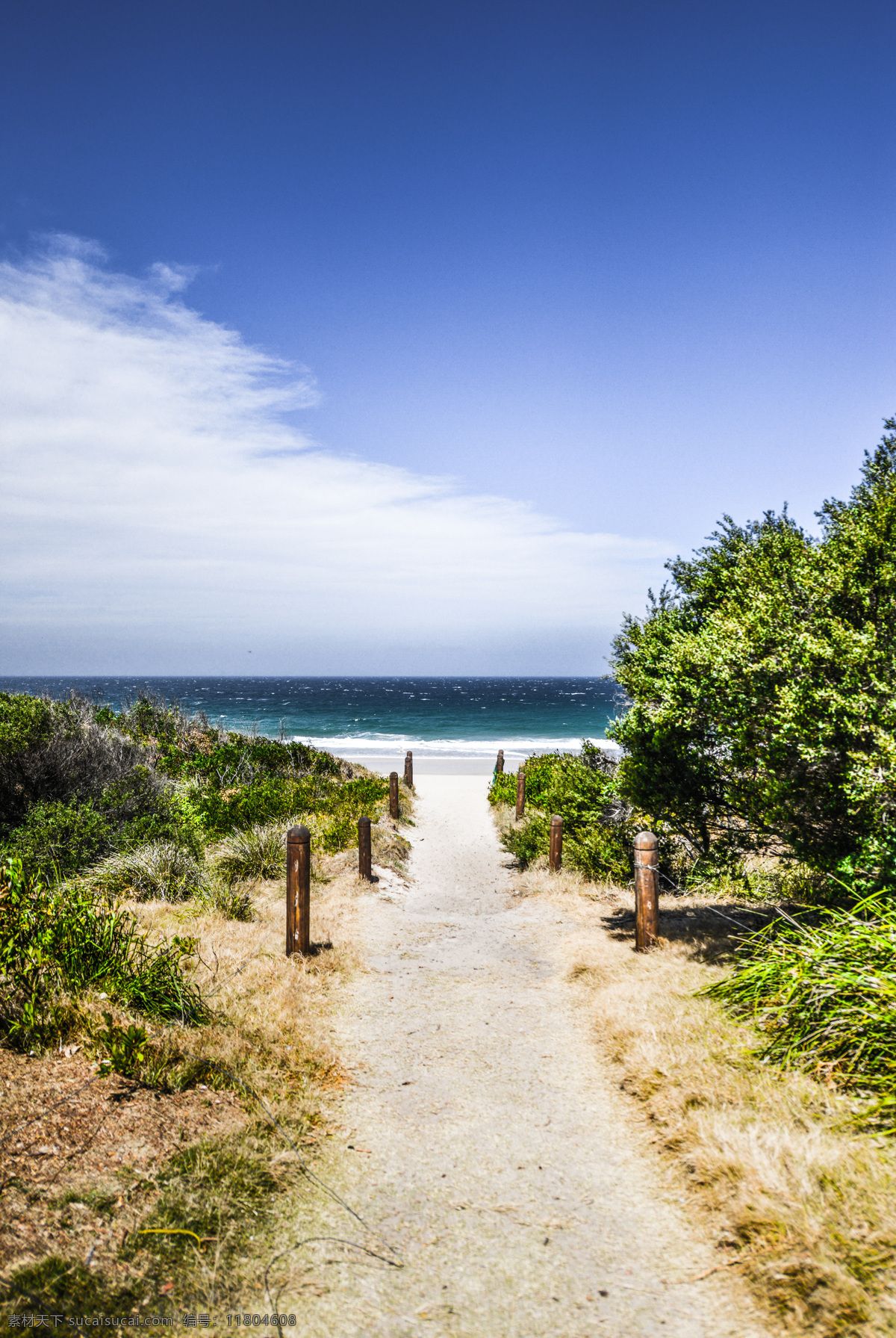 海边小路 海边 小路 大海 沙滩 蓝天 白云 澳洲海边 澳洲海滩 澳洲风光 旅游摄影 国外旅游