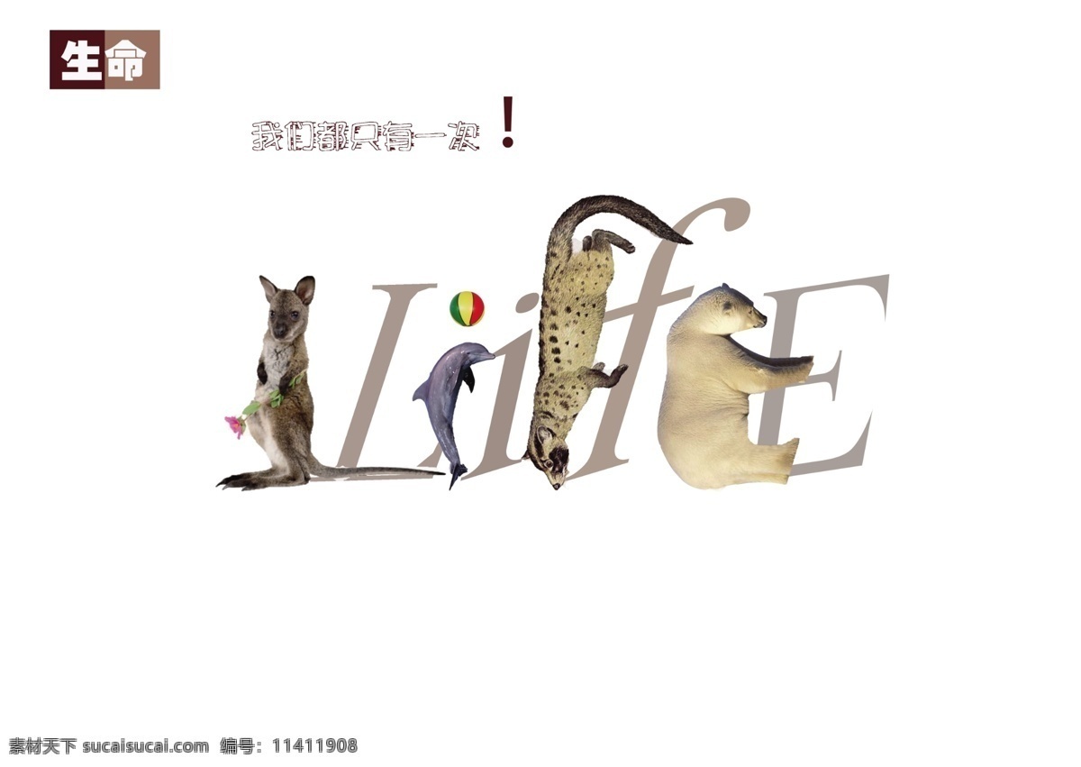 海报 动物?；?生命 白色