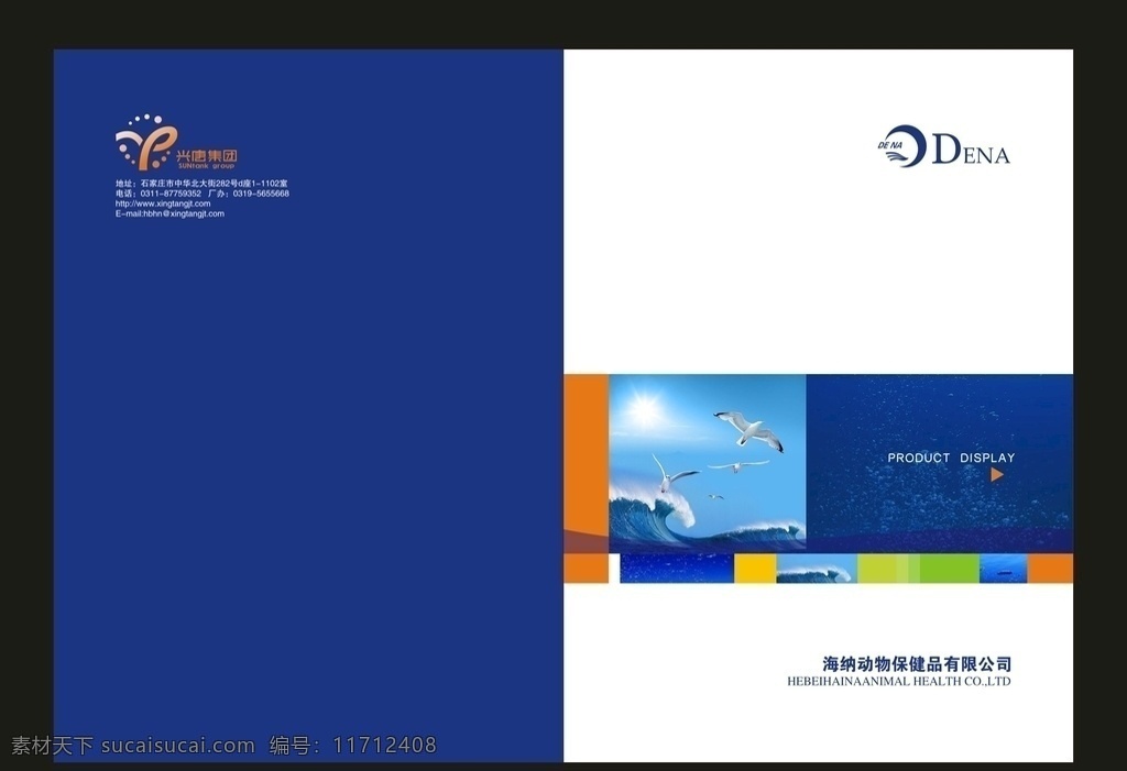 海納封套 興唐集團(tuán) dena 公司封套 企業(yè)封套 動(dòng)物 海鷗 藍(lán)色 海浪 橘紅 海水 綠色 商務(wù)封套 簡單大氣封套 公司對(duì)折頁 公司宣傳單