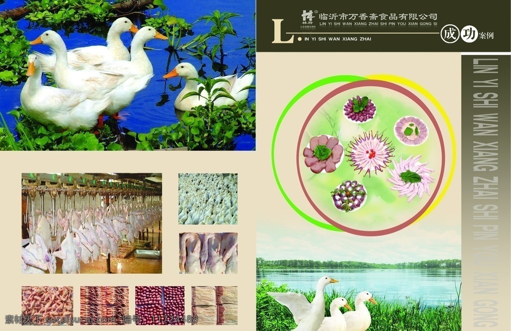 企業(yè) 畫冊 內(nèi)頁 內(nèi)頁設(shè)計(jì) 鴨 白鴨 畫冊設(shè)計(jì) 廣告設(shè)計(jì)模板 源文件