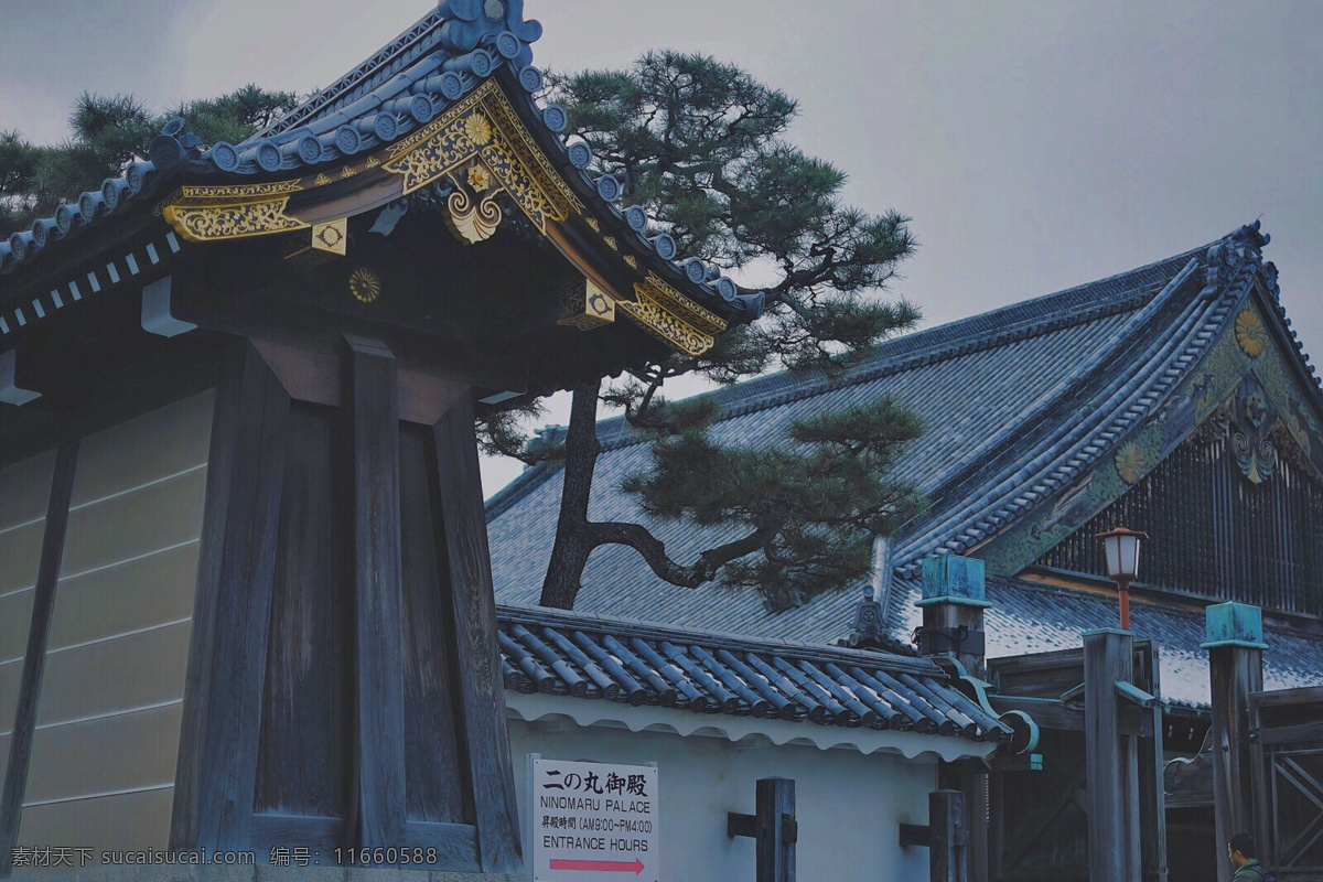 寺院一角 日本 樱花 京都 东京 霓虹国 旅游摄影 国外旅游