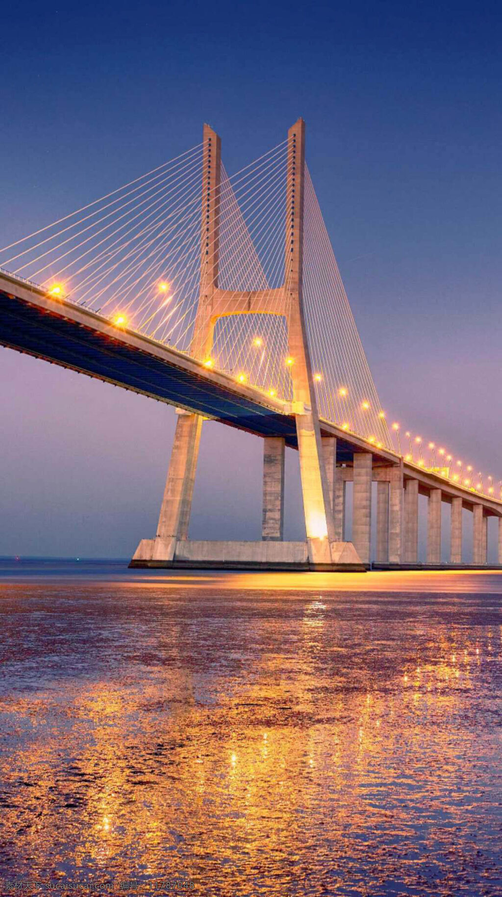 美丽 大桥 夜景 灯光璀璨 壮观的大桥 精美的大桥 坚固的大桥 蔚蓝的天空 宽阔的海面 平坦的海面 自然景观 建筑景观