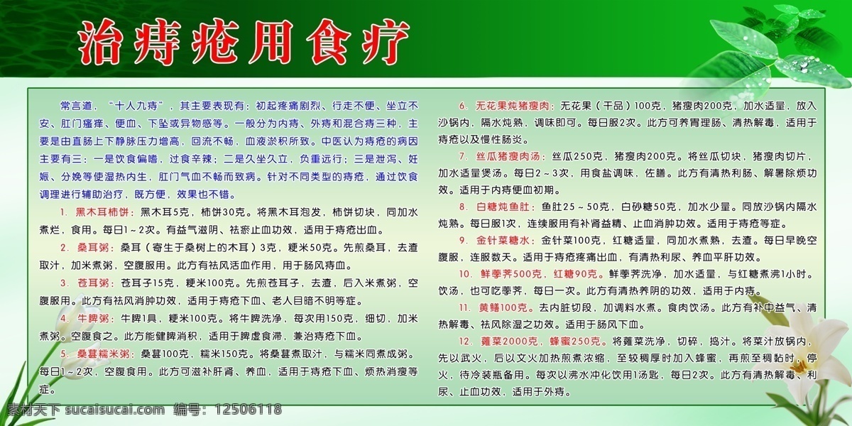 醫(yī)院 展板 百合 廣告設(shè)計(jì)模板 綠色 綠葉 其他模版 醫(yī)院展板 源文件 治痔瘡用食療 其他展板設(shè)計(jì)
