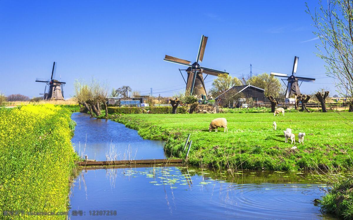 荷兰风车风景 风景 高清 荷兰 风车 田园 自然景观 田园风光