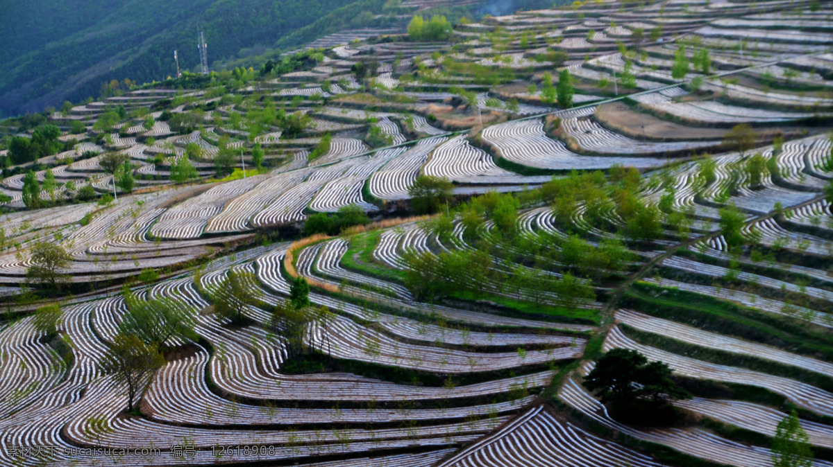 梯田 旱梯田 陜西 風(fēng)景 風(fēng)光 哭泉鎮(zhèn)旱梯田 自然景觀 田園風(fēng)光