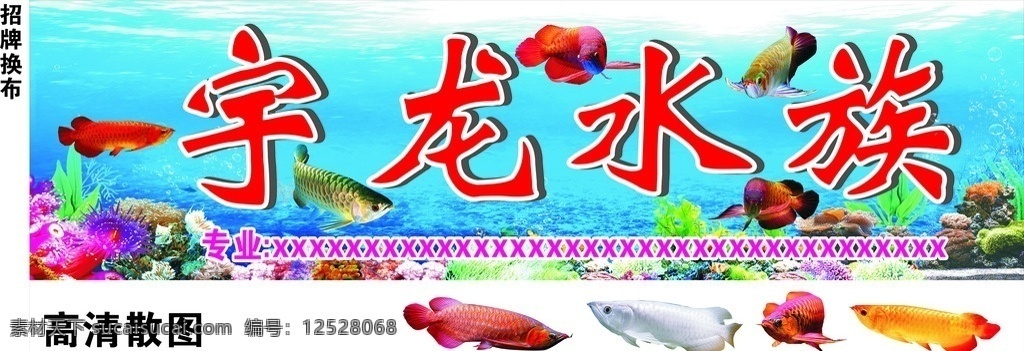 金龍魚 紅龍魚 龍魚 熱帶魚 金魚 海底世界 水