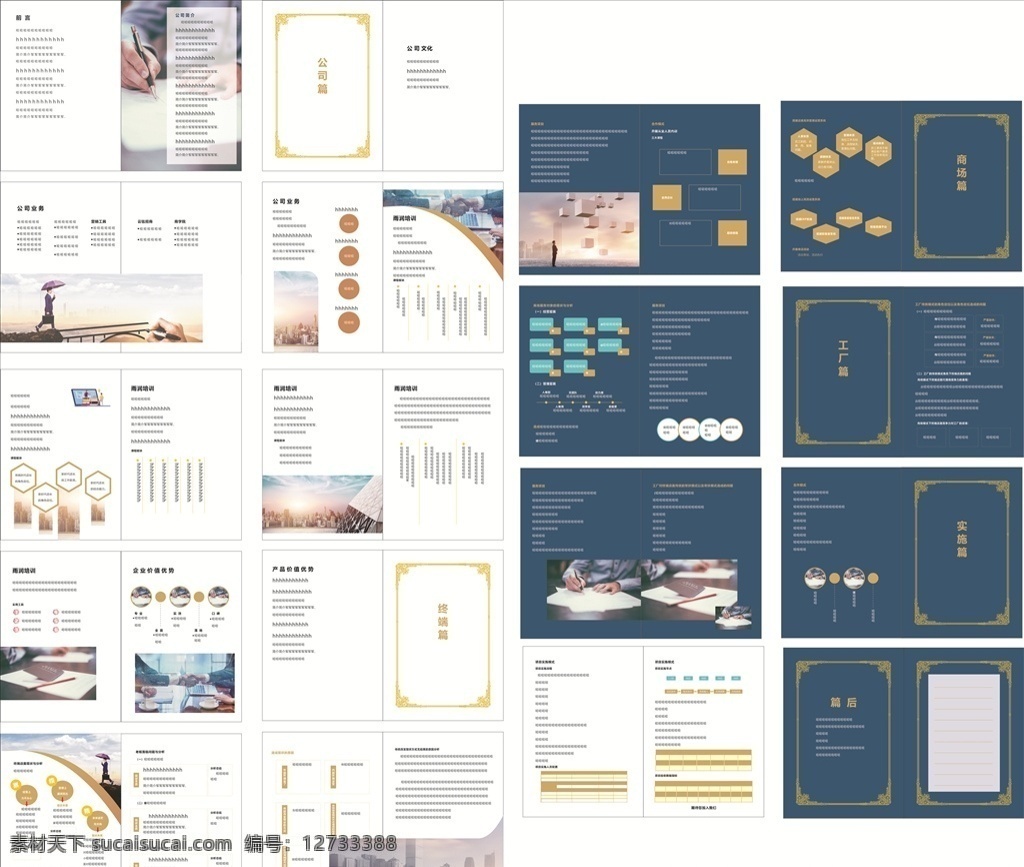 高档商务画册 画册 高档 商务 蓝底 白底 插图 文字 画册设计