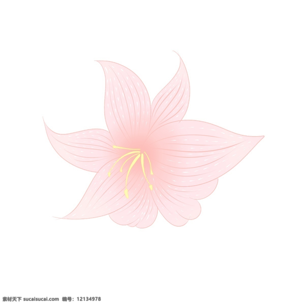 手绘 春天 桃花 花瓣 花朵 粉色 卡通 免抠 粉红色 春意盎然 花蕊 生机勃勃 插画