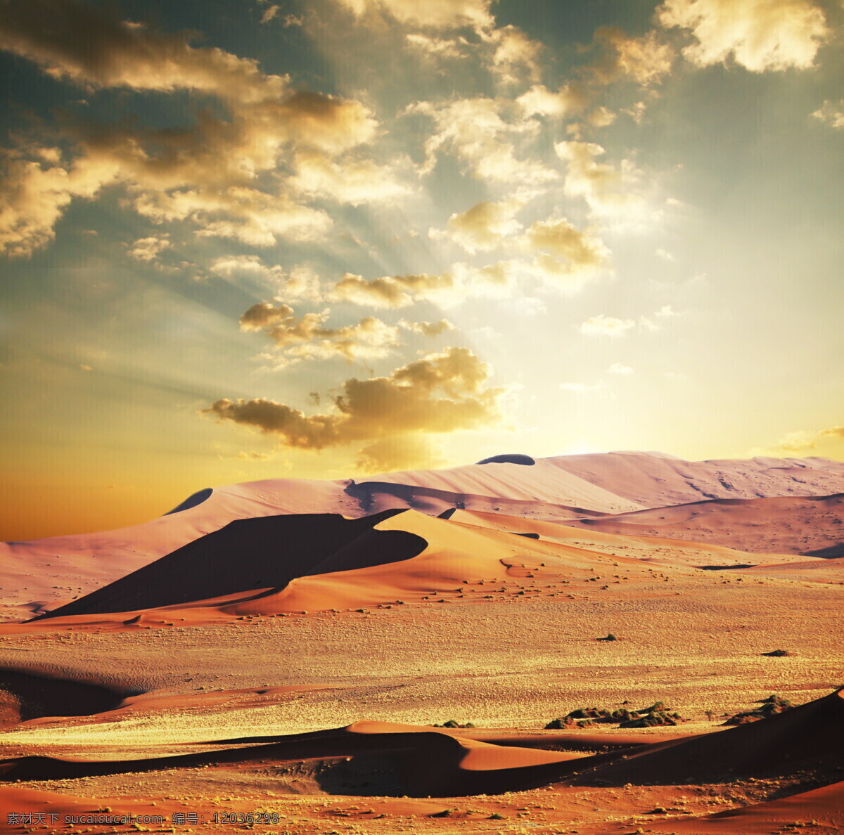 美丽 沙漠 风光摄影 高清 美丽风景 沙丘 荒漠 自然风景 摄影图库 高清图片 自然景观 黄色