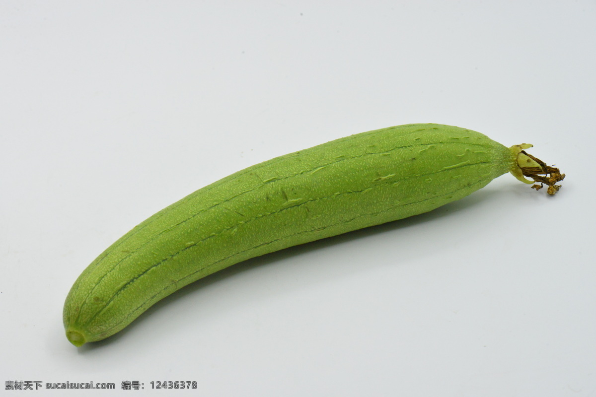 絲瓜圖片 絲瓜 靜物 蔬菜 食品 農(nóng)業(yè) 綠色 新鮮 特寫 農(nóng)作物 綠色食品 植物 飲食 清新 維生素 無人 瓜 生長 寧靜 彩色圖片 健康的 水平構(gòu)圖 健康食物 簡單 季節(jié) 有機食品 一個物體 食物原料 成熟的 食物狀態(tài) 營養(yǎng) 飲食文化 健康食品 光合作用 食材 白色背景 餐飲美食
