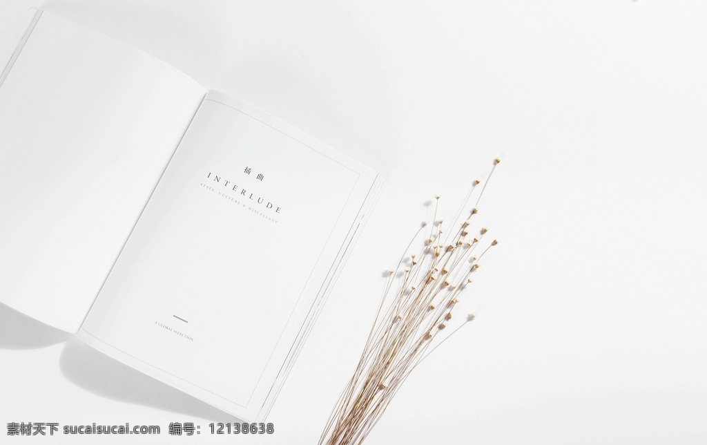 ins风壁纸 ins 文艺 桌面 小清新 壁纸 书本 小花 生活百科 生活素材