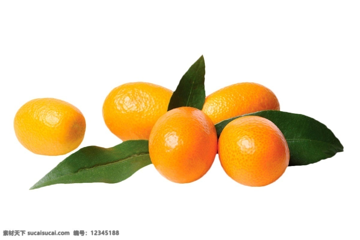 桔子 橙子 香橙 水果 桔子素材 金桔 橙子素材 广告 水果素材 橙色 金黄色