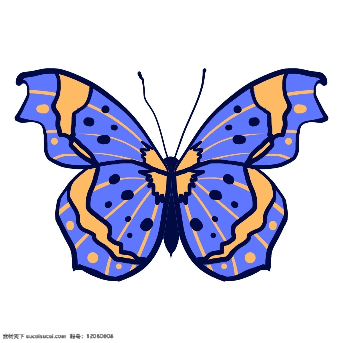 昆虫 蝴蝶 标本 紫色 手绘 清新