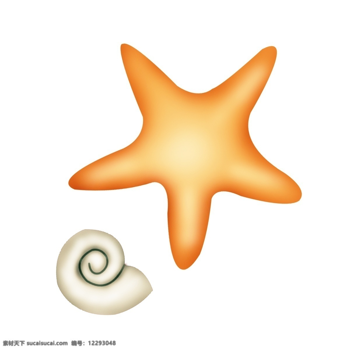 海洋海星动物 蜗牛 海星 生物