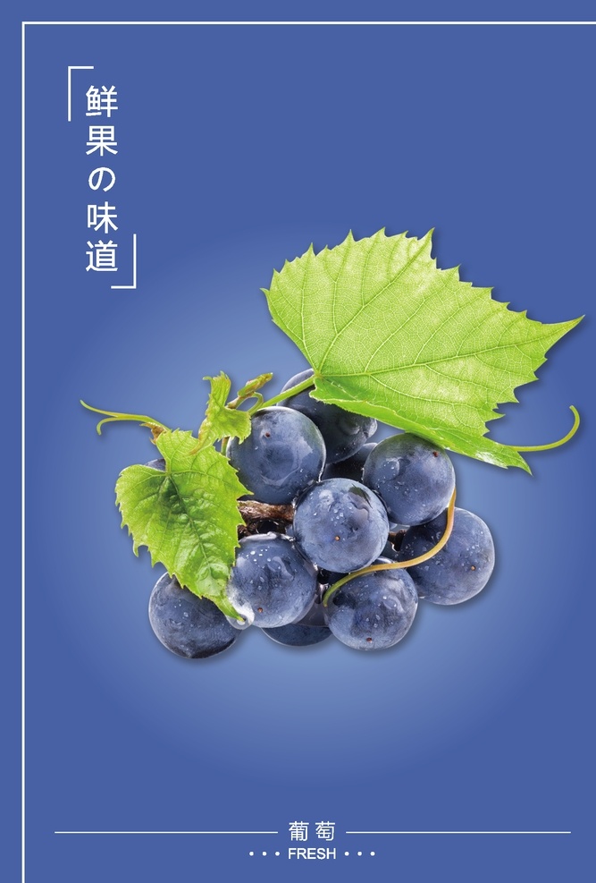 水果 葡萄 新鲜 鲜果 海报