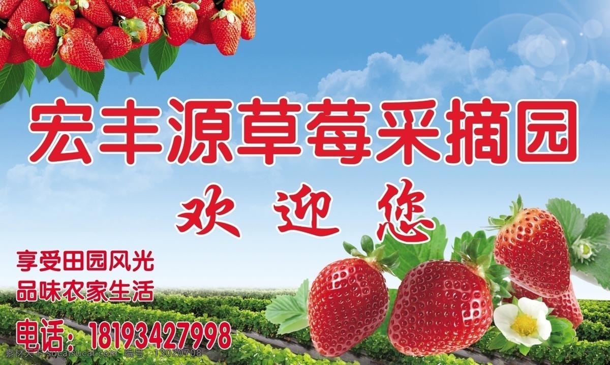 草莓采摘园 草莓特写 水果摄影 红色水果 水果特写 生活百科
