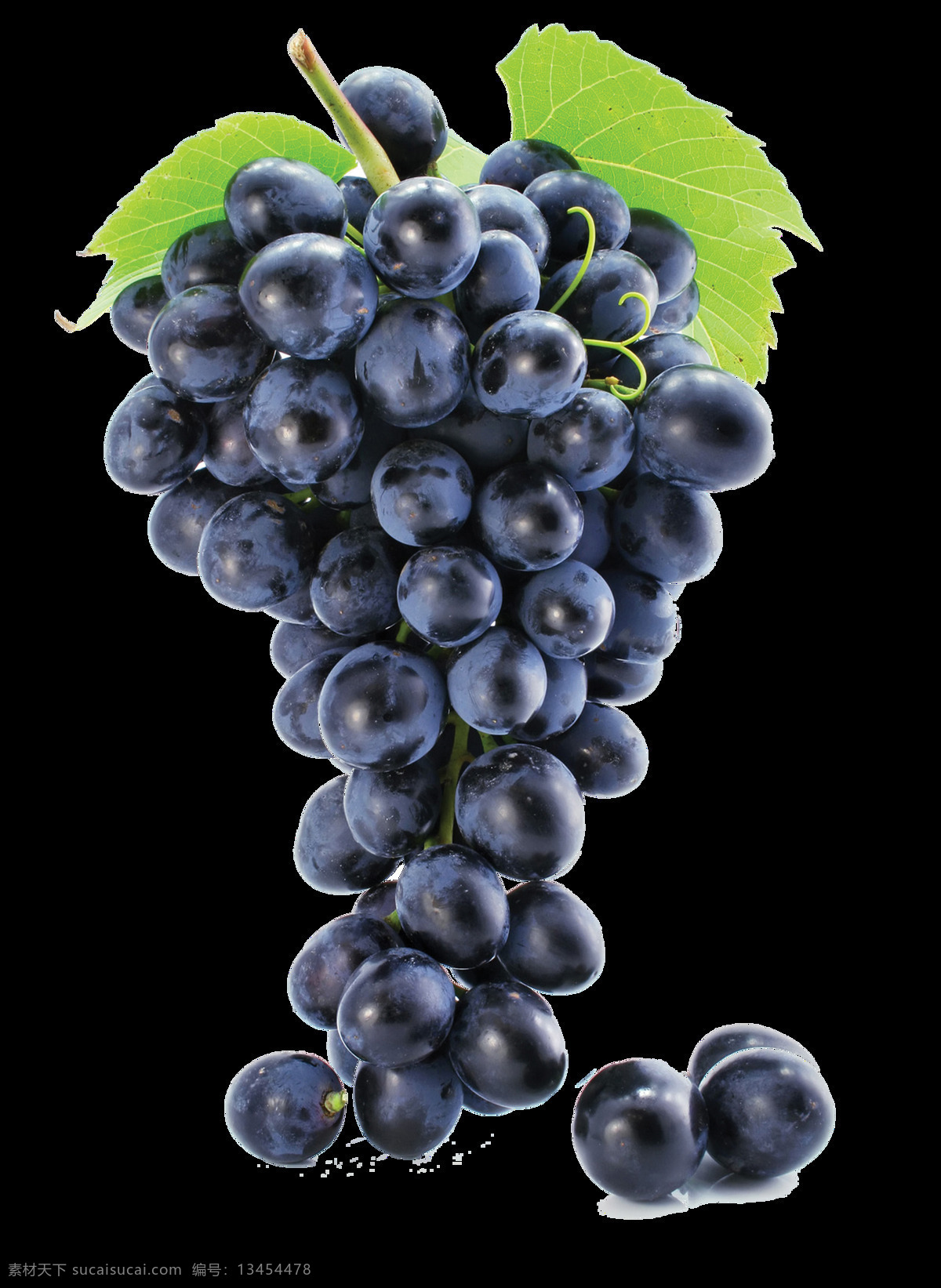 紫色 葡萄 实物 集合 紫葡萄 巨峰葡萄 新鲜葡萄 葡萄图片 一串葡萄 有机葡萄 葡萄图案