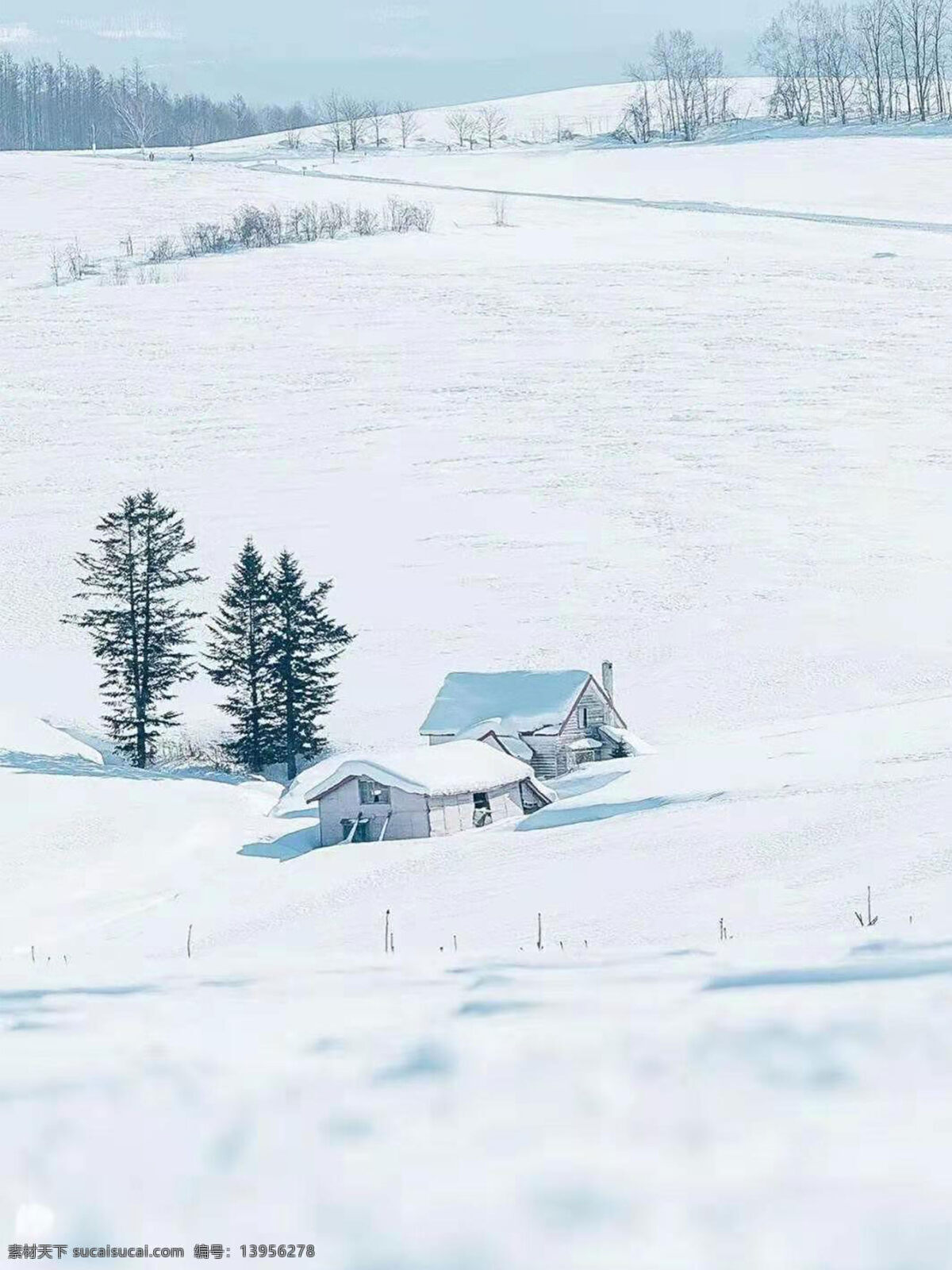 雪地图片 雪地 唯美 美景 房子 自然景观 自然风景