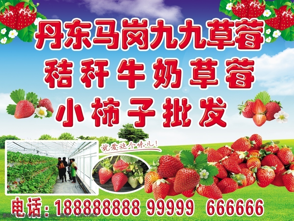 九九草莓 草莓噴繪 草莓海報 草莓宣傳 草莓 草莓高清圖 草莓圖 藍天白云 藍色背景 藍色 分層