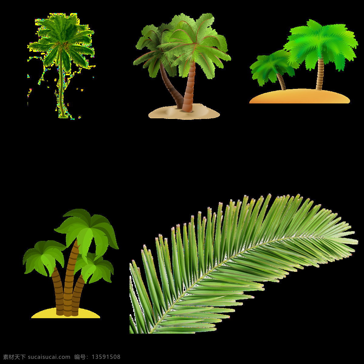 棕桐树 热带植物 夏季叶子 叶子 棕榈树 水彩树叶 芭蕉叶 卡通设计