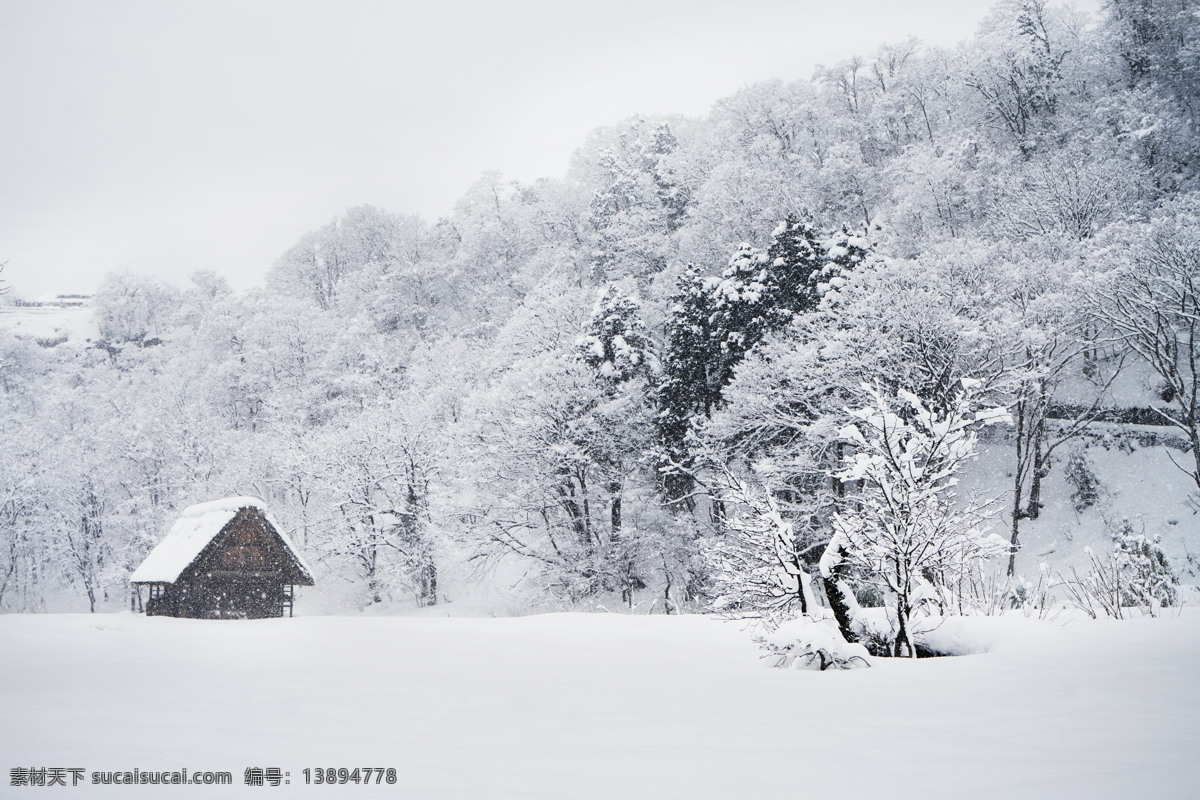 美丽的雪景 雪中木屋 雪景 大雪 木屋 白雪皑皑 美丽雪景 自然景观 田园风光