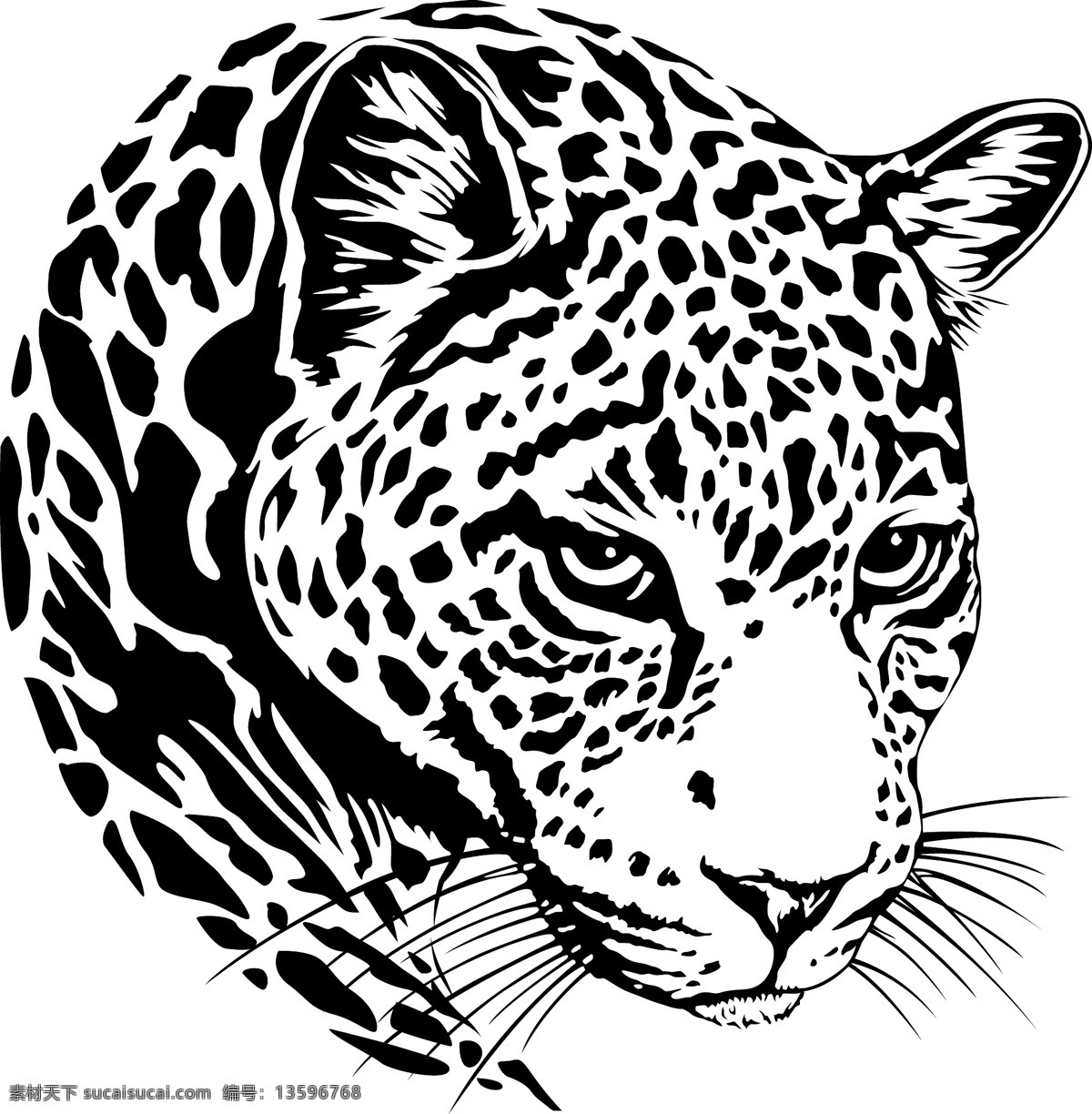 黑白帅气豹子 酷豹 豹子 印花图片 印花 t恤图案 潮人图案